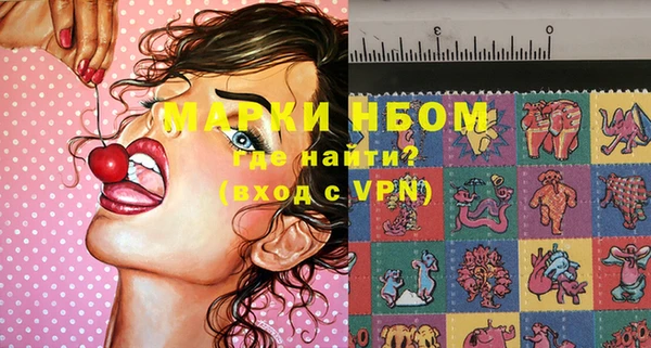 твердый Няндома
