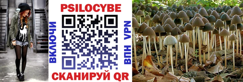 блэк спрут зеркало  Кропоткин  Галлюциногенные грибы GOLDEN TEACHER 