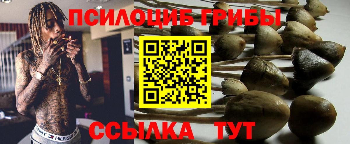 Кропоткин  Галлюциногенные грибы GOLDEN TEACHER  Вход с VPN 
