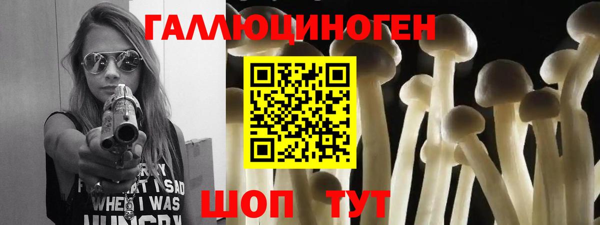 Псилоцибиновые грибы Cubensis  Кропоткин 